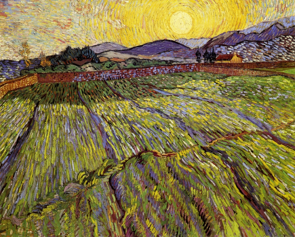 Enclosed wheatfield with rising sun