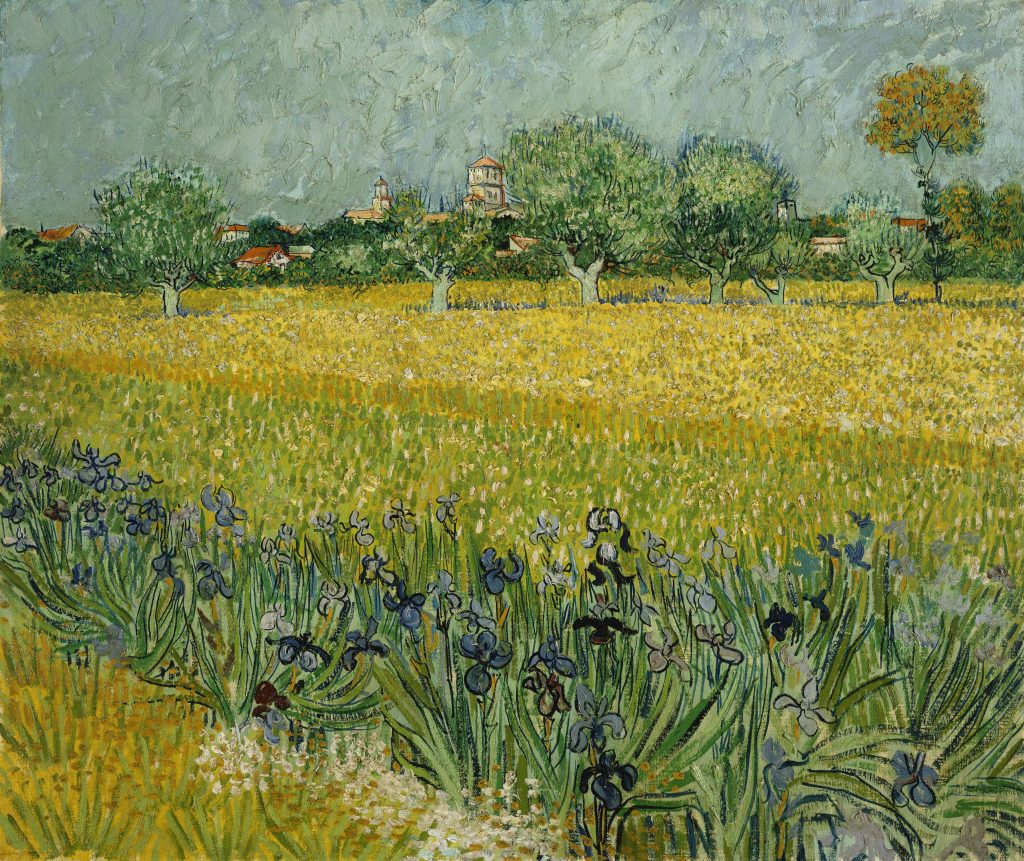Field with flowers near Arles